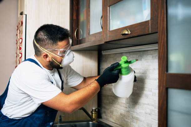 Best Mosquito Control Services  in Springfield, NJ