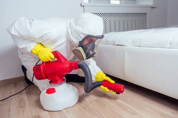 Best Pest Removal Services  in Springfield, NJ