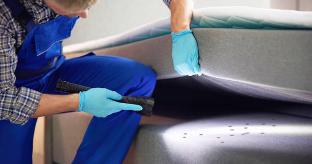 Best Cockroach Control Services  in Springfield, NJ