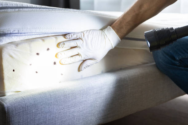 Best Wildlife Control Services  in Springfield, NJ