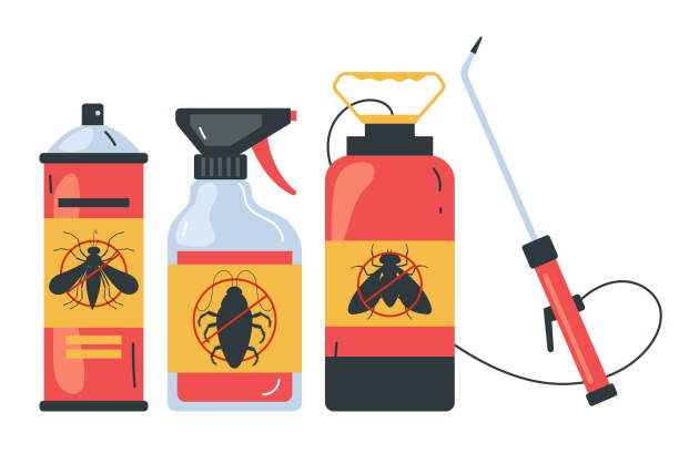Best Spider Control Near Me  in Springfield, NJ