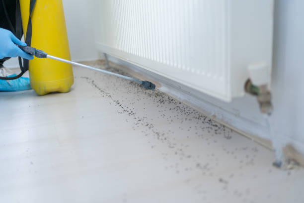 Best Commercial Pest Control Services  in Springfield, NJ